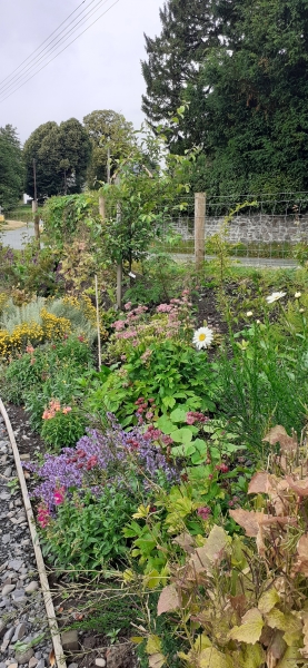 Tregynon Gardens